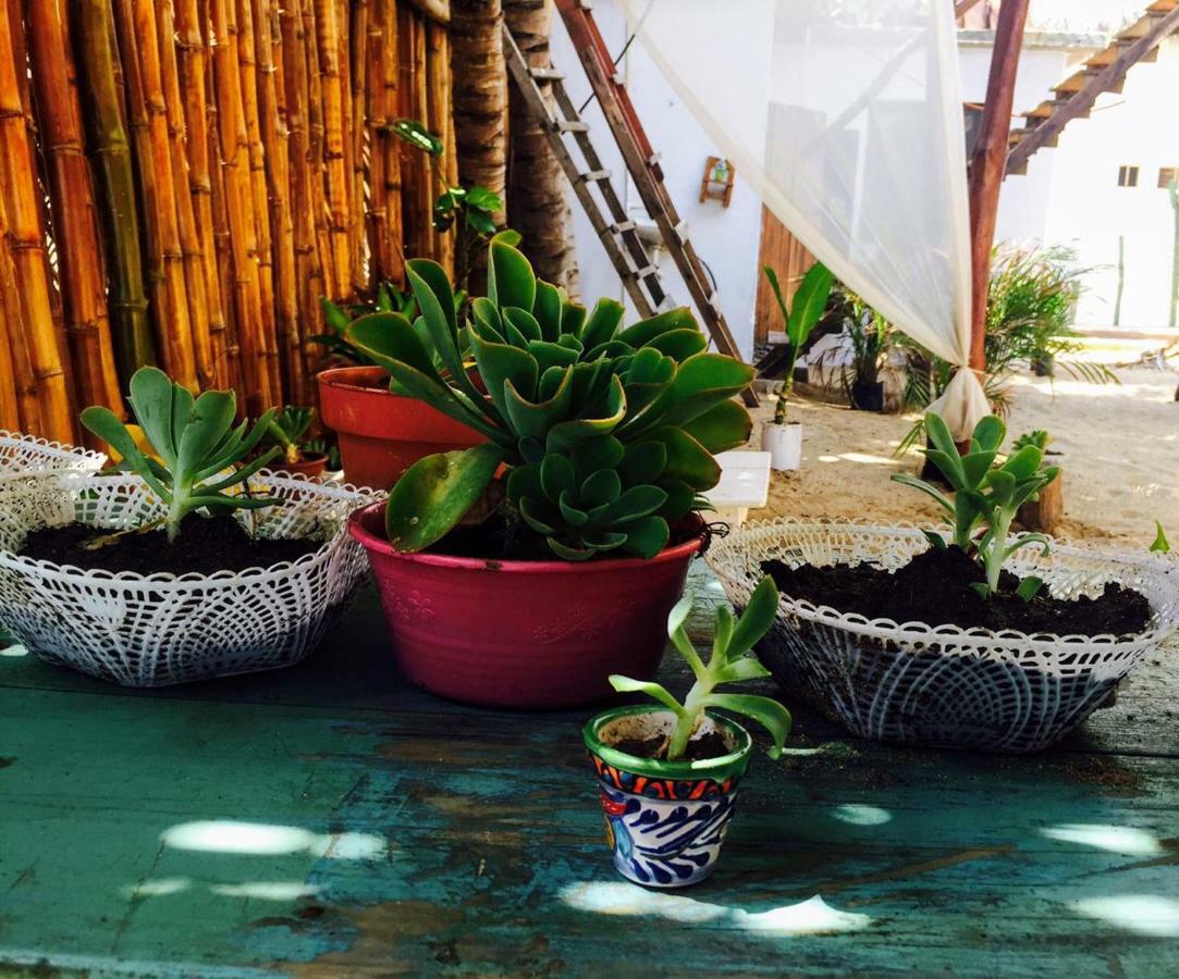 La Maxima & Lgbt Hotel Zipolite Eksteriør billede